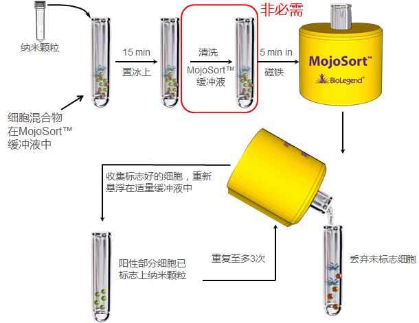 MojoSort 陽(yáng)性選擇細(xì)胞分離步驟.jpg MojoSort 陽(yáng)性選擇細(xì)胞分離步驟.jpg